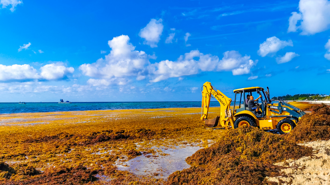 Backhoe